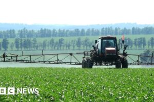 El aumento de los precios de los fertilizantes está obligando a los agricultores a repensar