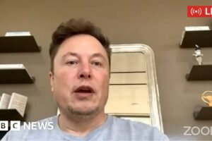YouTube acusado de no lidiar con el falso fraude de transmisión en vivo de Elon Musk