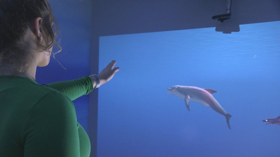 Ruby usa su brazo para dirigir Dolphin Bandit, inspirado en un videojuego