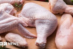 El pollo cultivado en laboratorio es seguro para comer, dicen los reguladores de EE. UU.