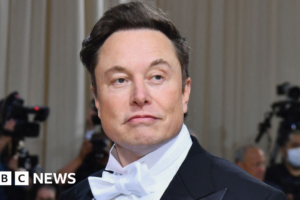 Elon Musk: Twitter le pregunta al secretario de NI qué aspecto tiene ‘tosh’