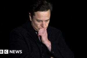 Los socios benéficos en Twitter condenan los cambios «peligrosos» de Musk