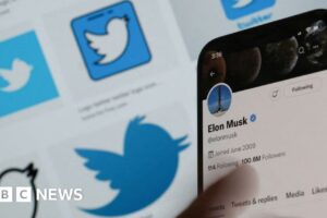 Caos en Twitter tras ola de imitaciones de ticks azules