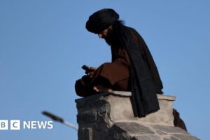 Los talibanes comienzan a comprar ticks azules en Twitter