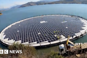 ¿Podrían las granjas solares flotantes sobrevivir en el mar?