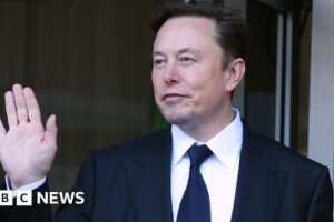 Elon Musk: el CEO de Twitter anuncia Blue Tick Shaking